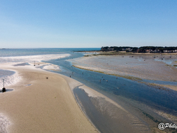 Illustration de la galerie